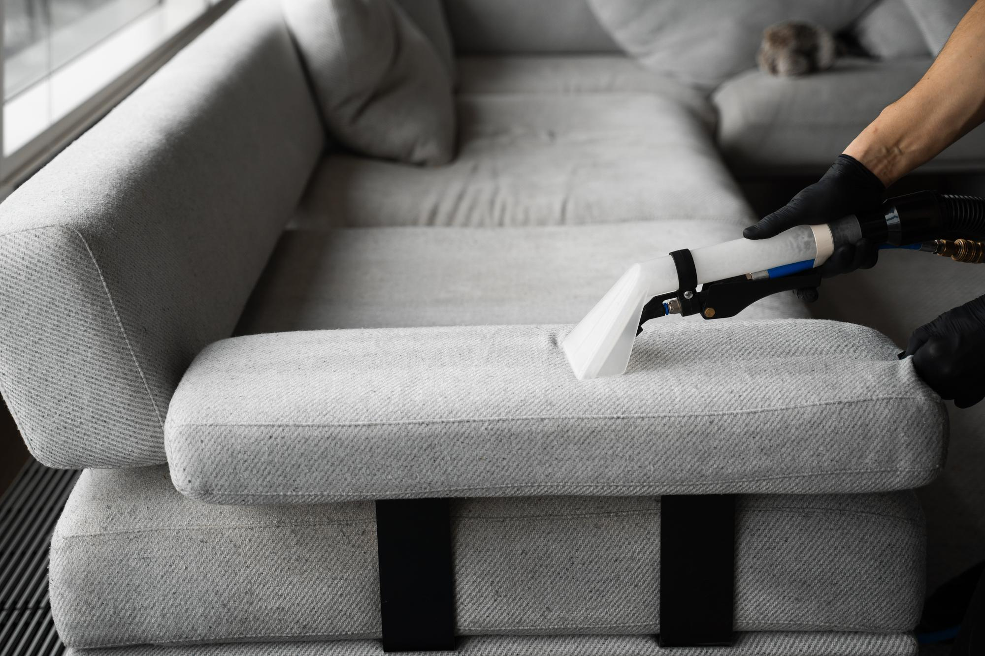 Professional upholstery cleaning for sofa in Tampa FL