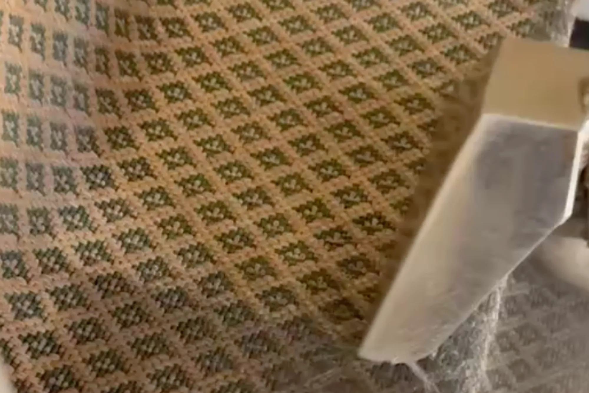 Professional area rug cleaning for patterned rug in Tampa FL