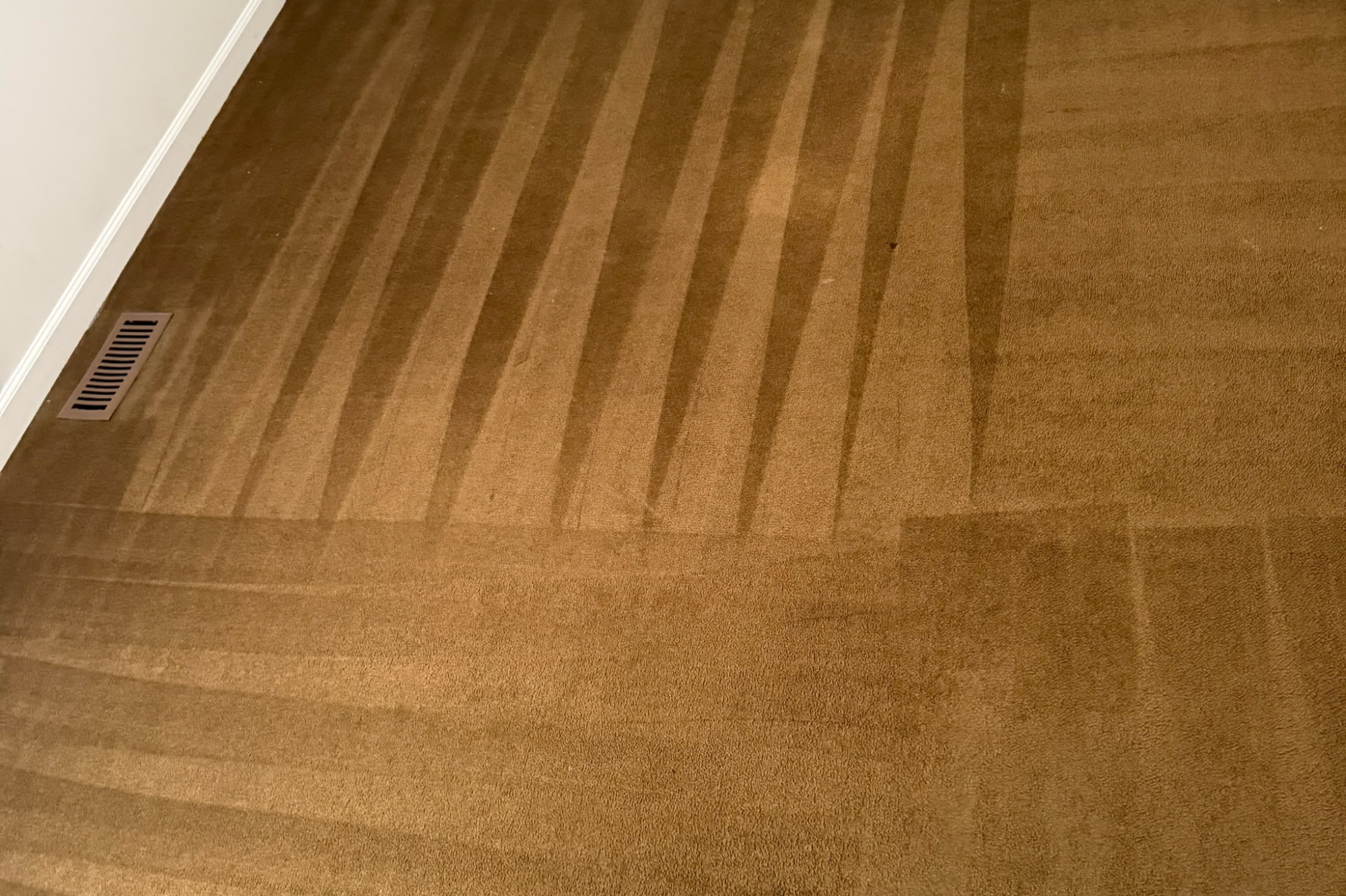 Professional area rug cleaning for patterned rug in Tampa FL