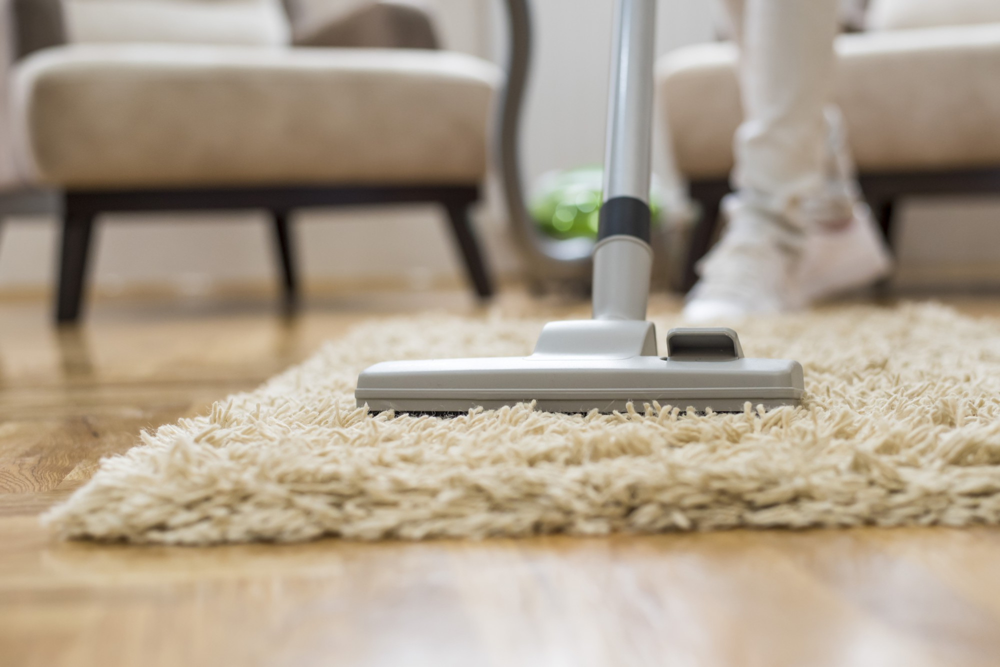 Pet Stain and Odor Removal service results in Brandon FL