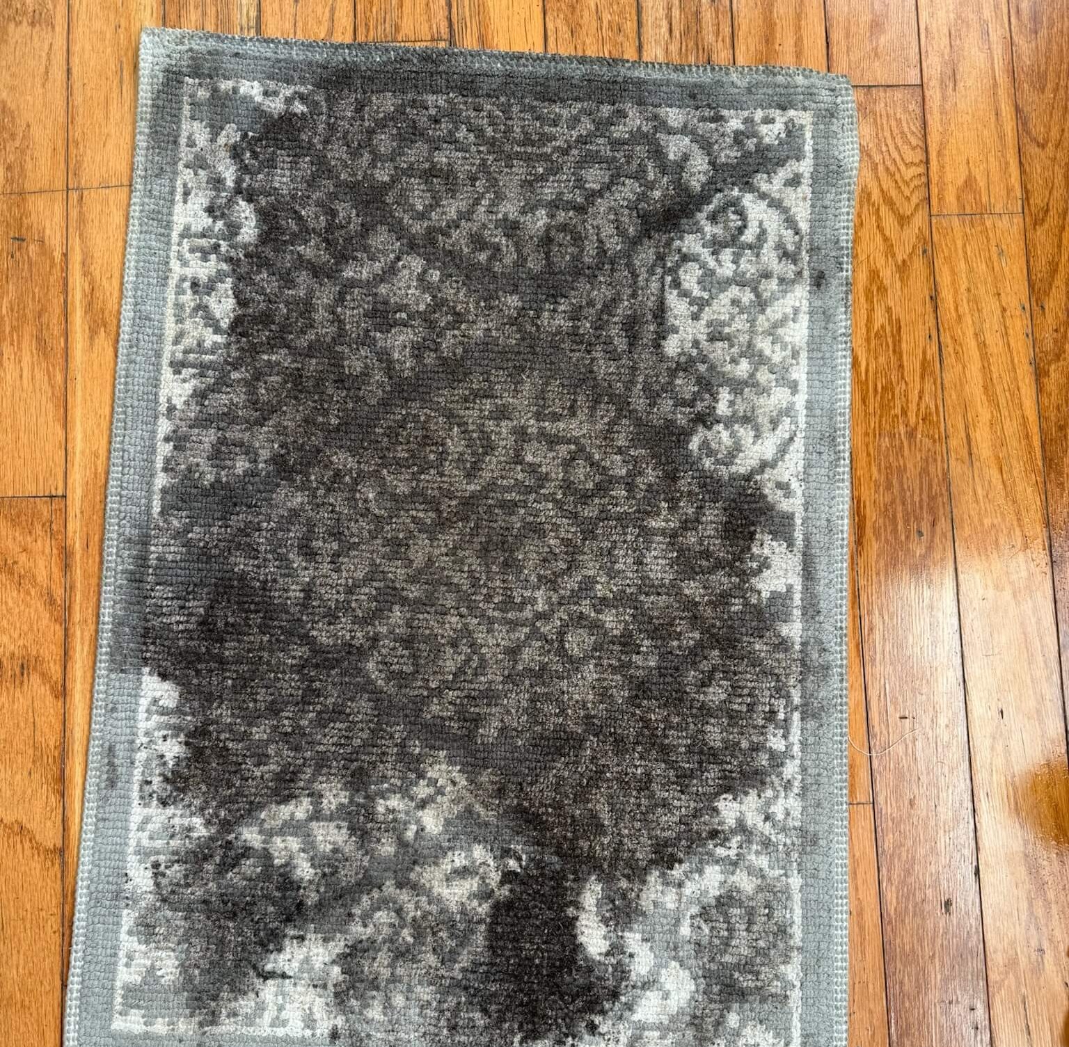 Area Rug Cleaning service results in Brandon FL