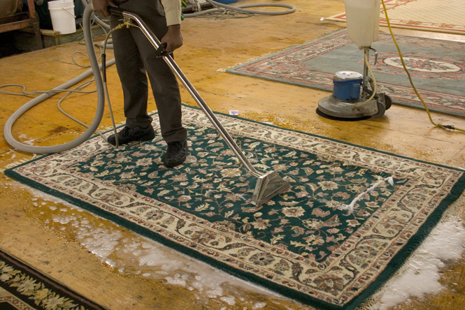 Area Rug Cleaning deep clean finish in Brandon FL