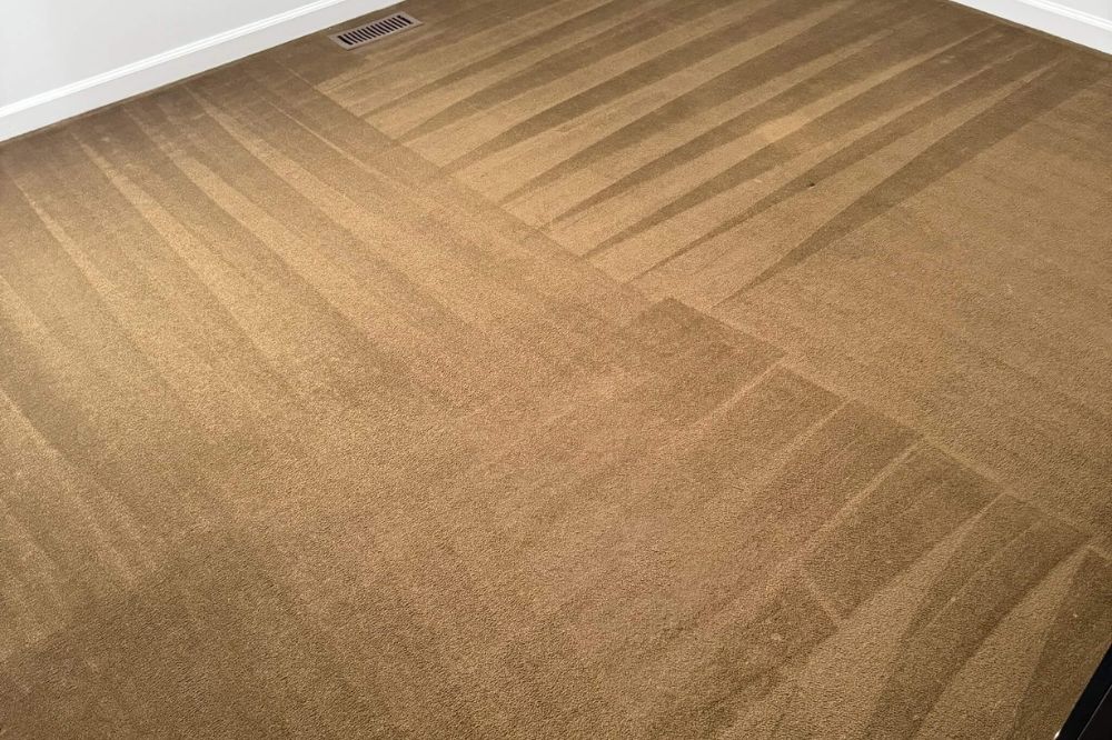 Carpet Cleaning deep clean finish in Brandon FL