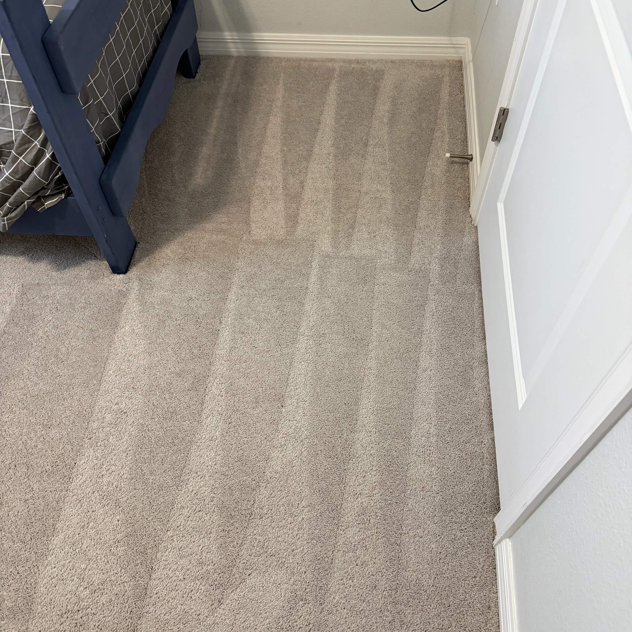 Carpet Cleaning service results in Brandon FL