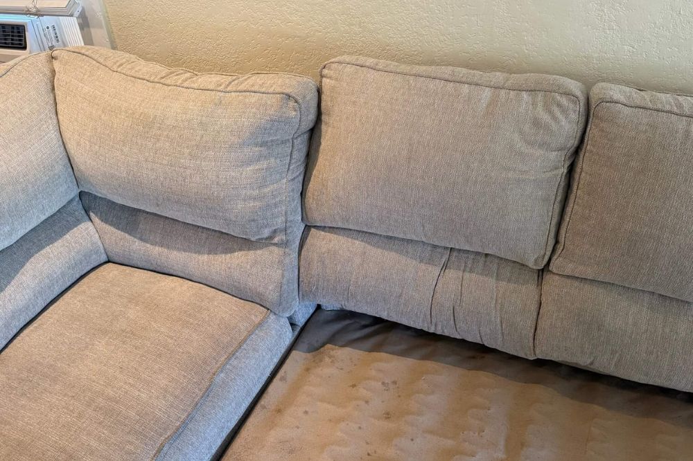 Upholstery Cleaning service results in St. Petersburg FL
